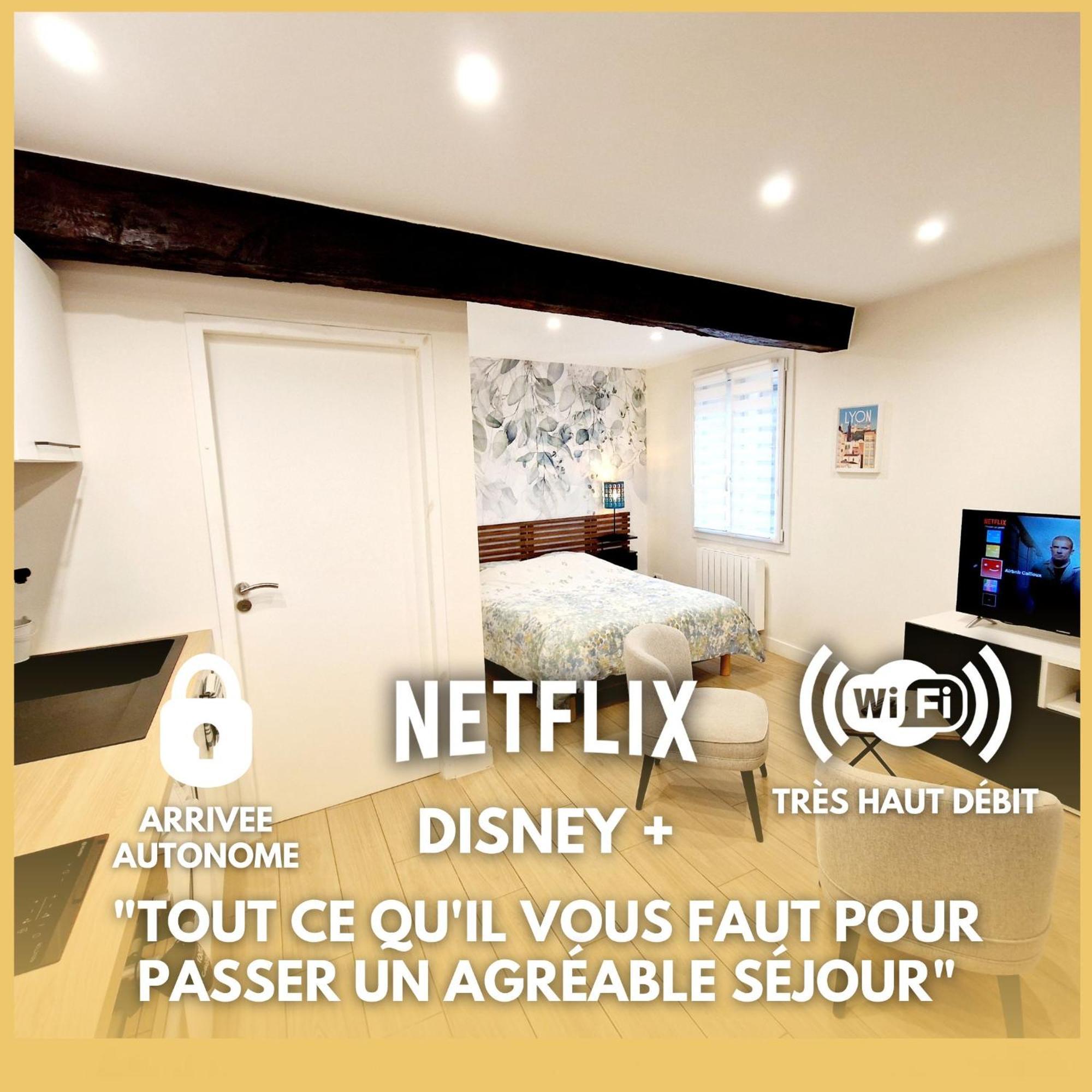 Studio Entierement Equipe Cailloux-sur-Fontaines 外观 照片